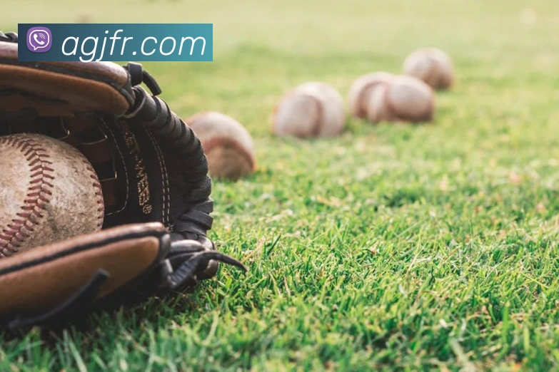 ag官网平台生态图